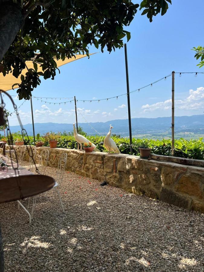 Agriturismo I Millepini Case Malva Bagian luar foto